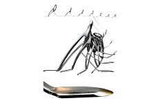 Juego Pasahilos Rocket Kwag Zirconio 50 Al 16 - Surfcasting